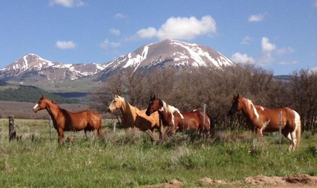 Mount Peale Country Inn La Sal Екстер'єр фото