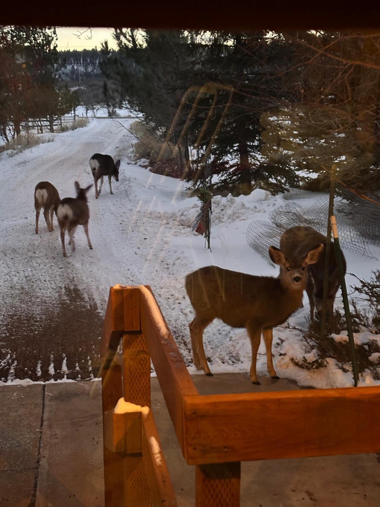 Mount Peale Country Inn La Sal Екстер'єр фото